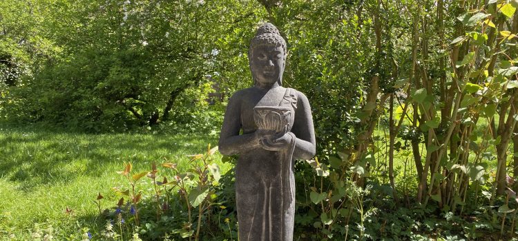 Ziell Zelfinzicht Levenslessen